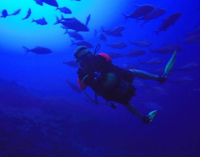nadando entre los peces